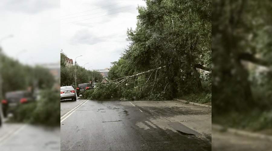 Без имени-2.jpg Без имени-2.jpg