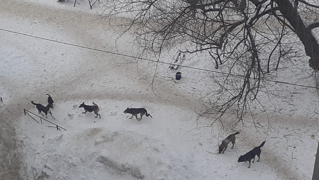 jdYBdddkrE8.jpg jdYBdddkrE8.jpg