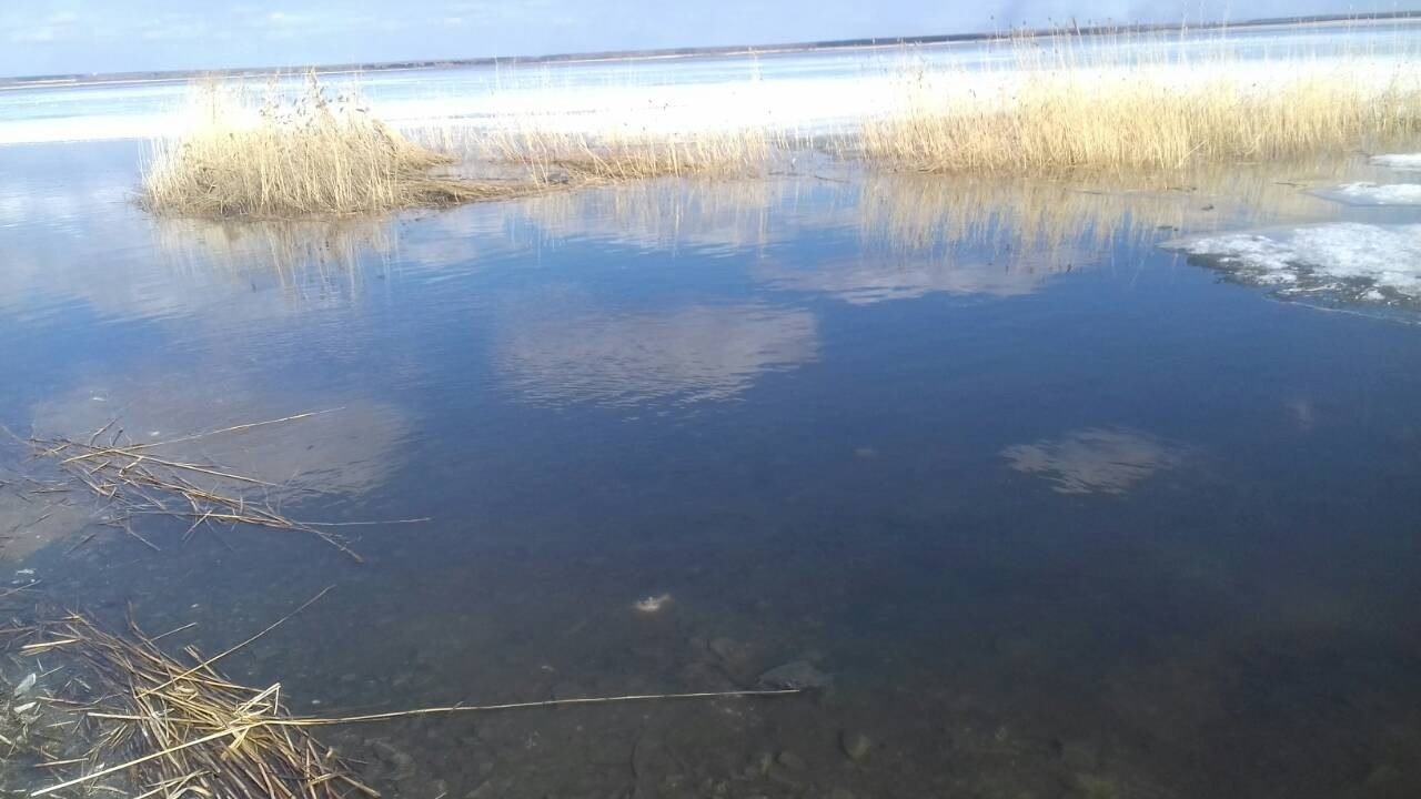 Озеро маян рыбалка. Озеро Шугуняк Челябинская область. Озеро Кунашак Челябинская область. Озеро Кунашак рыба. Озеро Чебакуль Челябинск.
