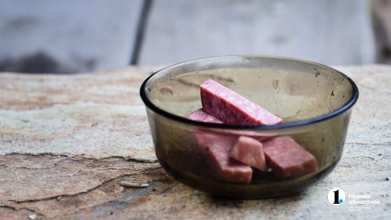 photo_2025-10-11_20-02-31 (2).jpg