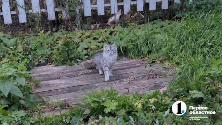 photo_2025-10-13_23-26-41 (1).jpg