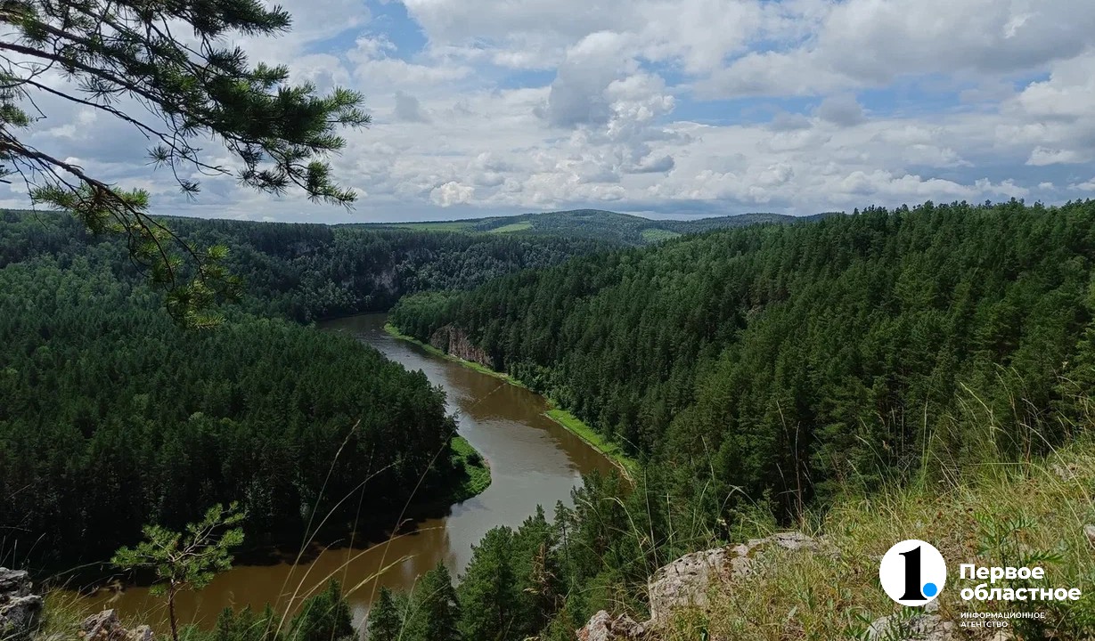 2025-06-29 12-43-31 (2).jpg