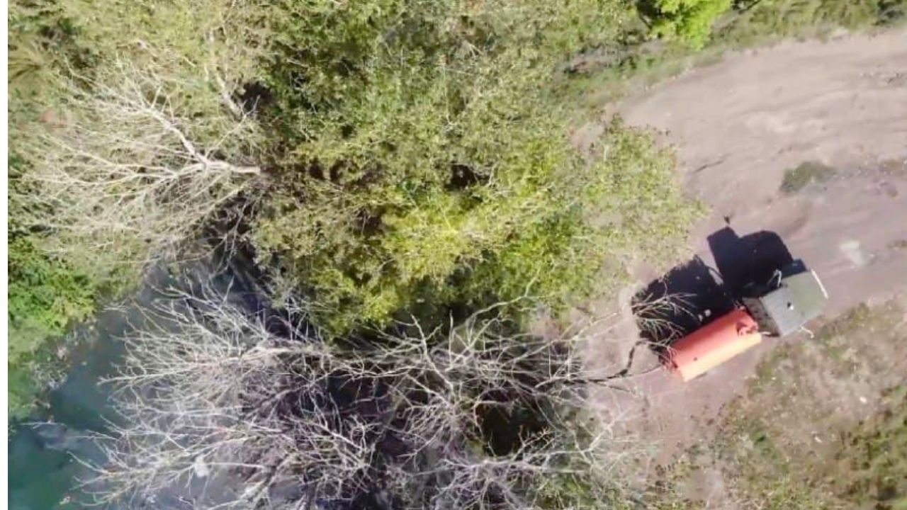 Дизайн без названия - 2022-01-25T155535.736.jpg