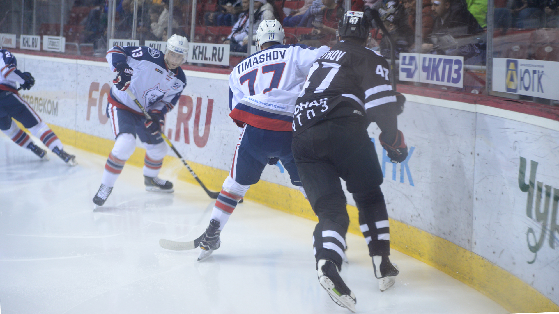 Фото: Сергей Мартынов // 1obl.ru MAR_7197.jpg