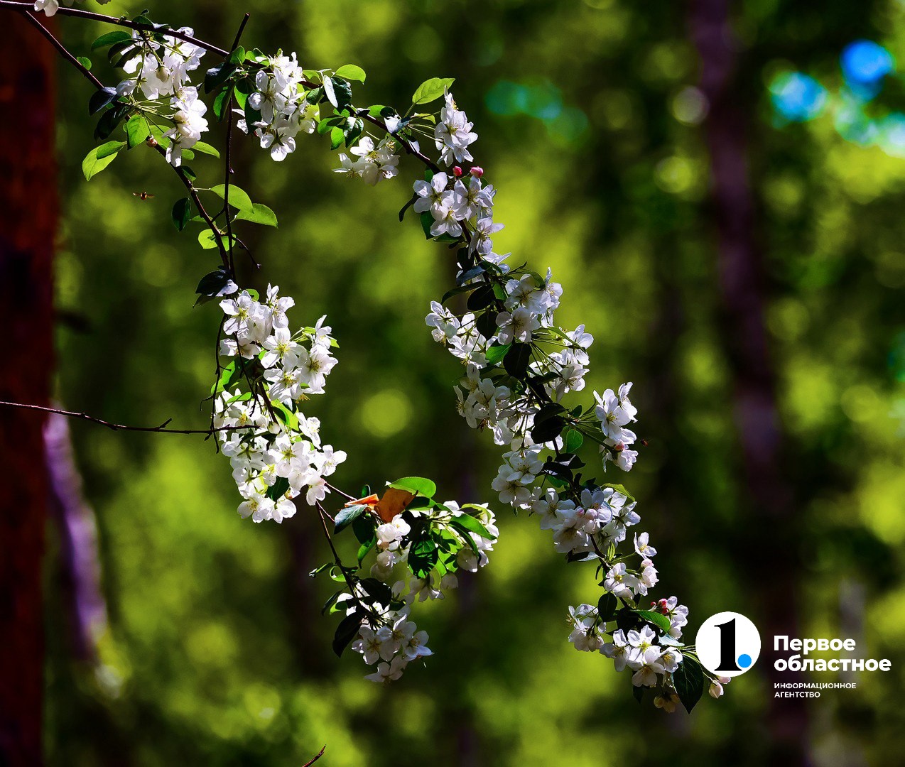 photo_2024-05-22_12-23-39 (4).jpg