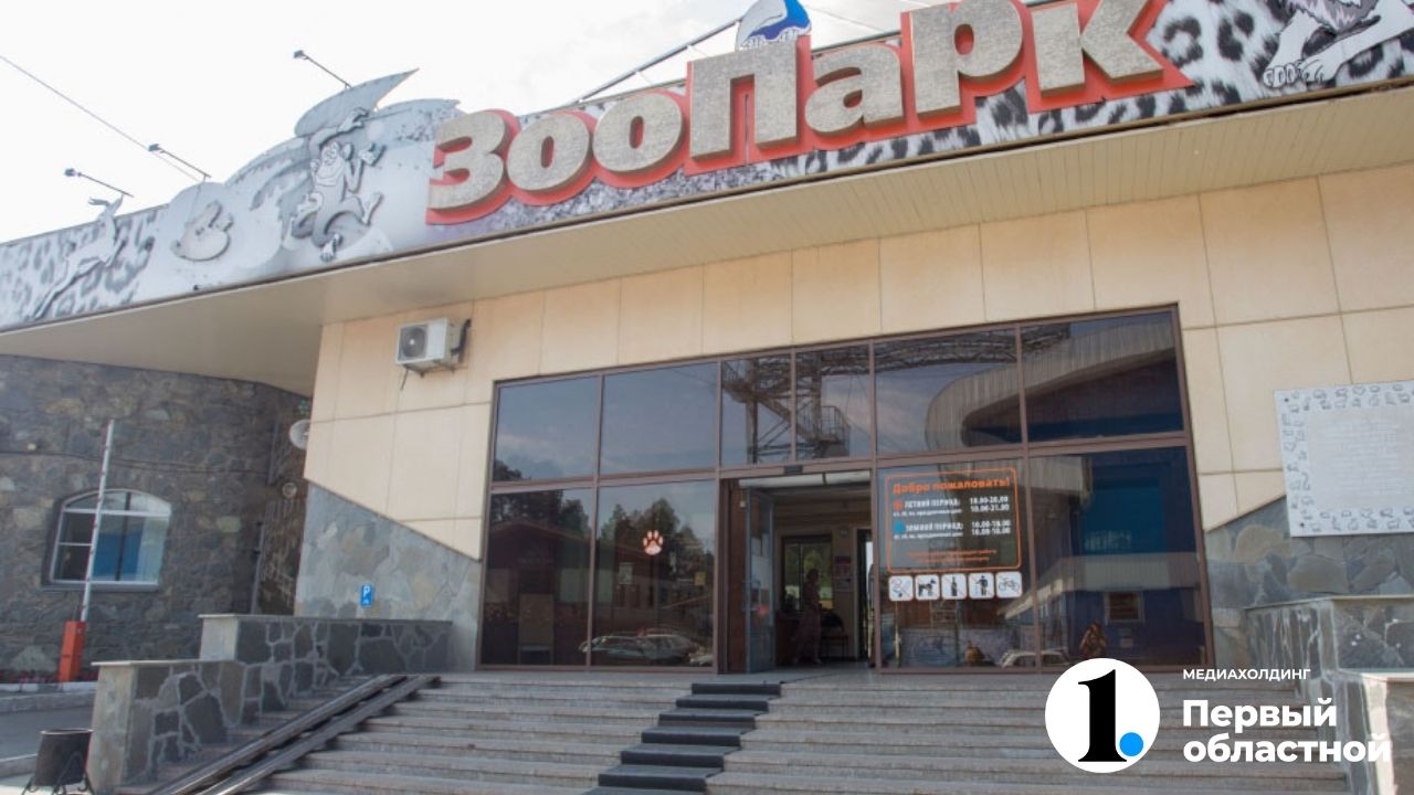 какие животные есть в челябинском зоопарке. Смотреть фото какие животные есть в челябинском зоопарке. Смотреть картинку какие животные есть в челябинском зоопарке. Картинка про какие животные есть в челябинском зоопарке. Фото какие животные есть в челябинском зоопарке