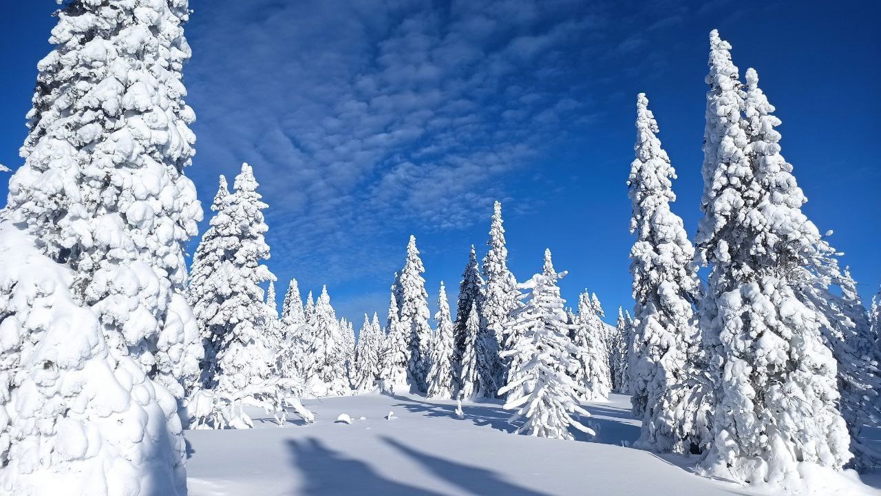 уральская зима текст