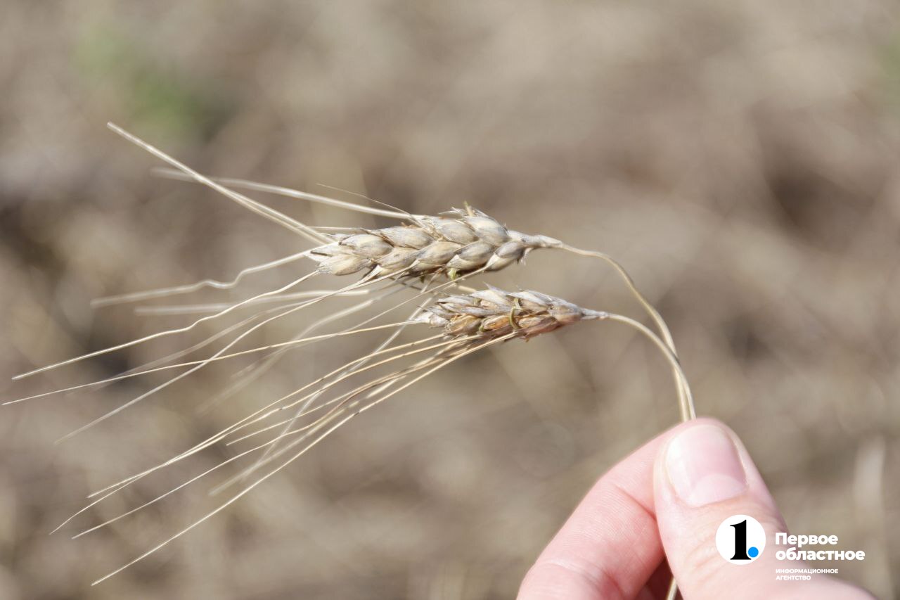 photo_2023-09-15_14-42-08 (1).jpg