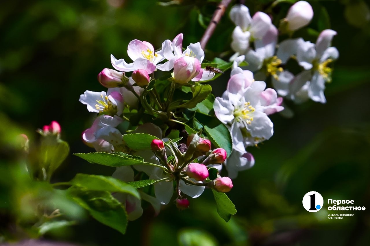 photo_2024-05-22_12-23-39 (6).jpg