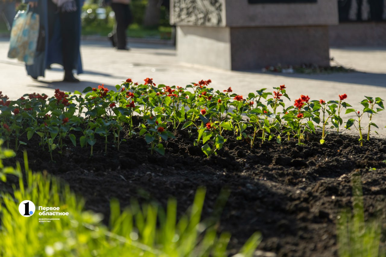 photo_2024-05-17_14-12-48 (2).jpg