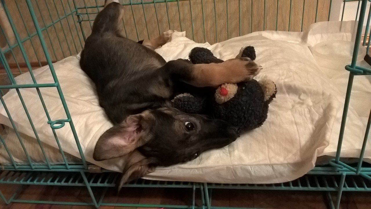 dXBNSJb7gvg.jpg dXBNSJb7gvg.jpg