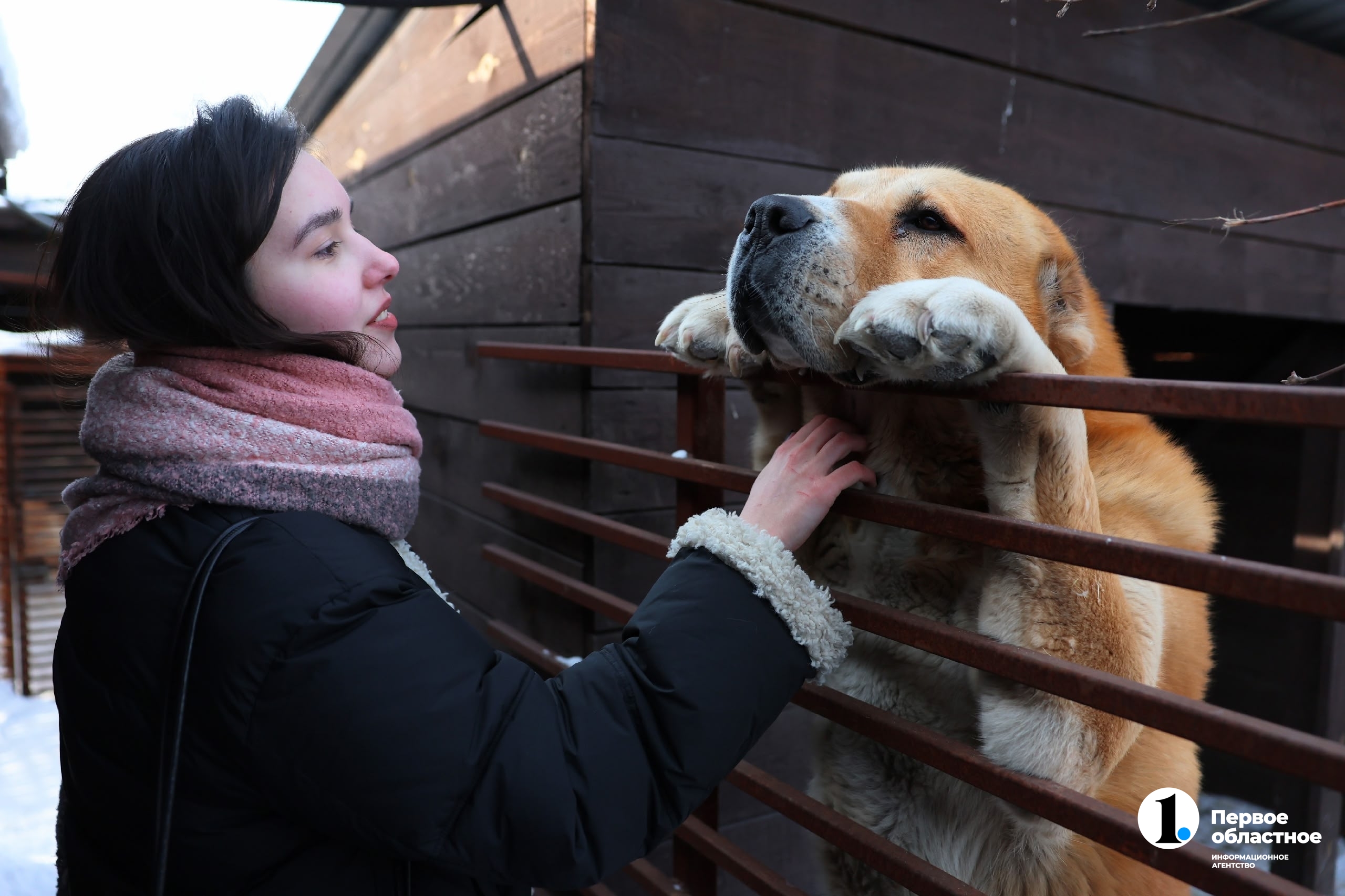 sUgL8AEfjeUTmJ_LfJEL_wlfKcPJ6afzVnA3AY3arhUU - ZuhB8YVwcZwPHhCX-Wiad6EfJ7k_qOkXdoenxzxHwh.jpg