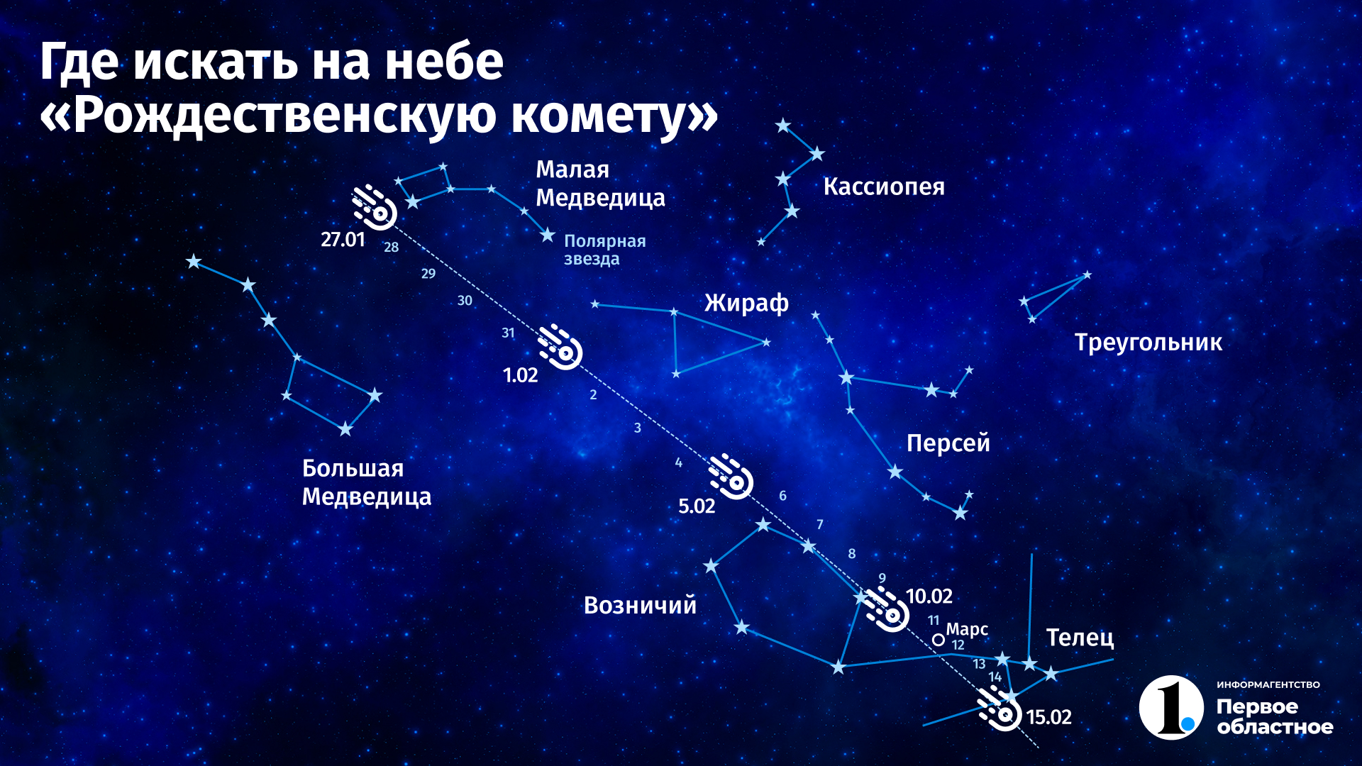 Полярная звезда находится в созвездии