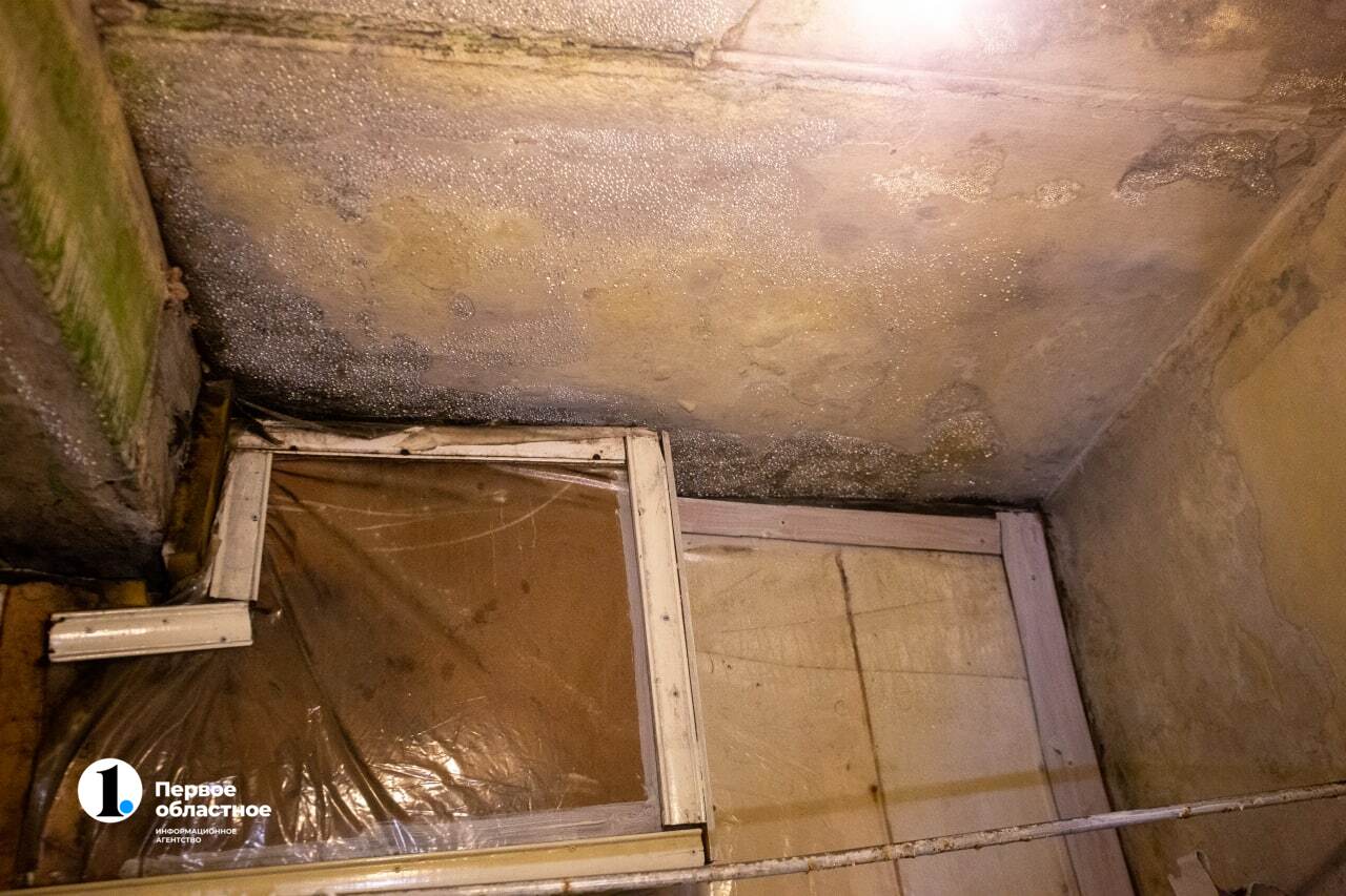 photo_2022-12-05_15-12-04.jpg photo_2022-12-05_15-12-04.jpg