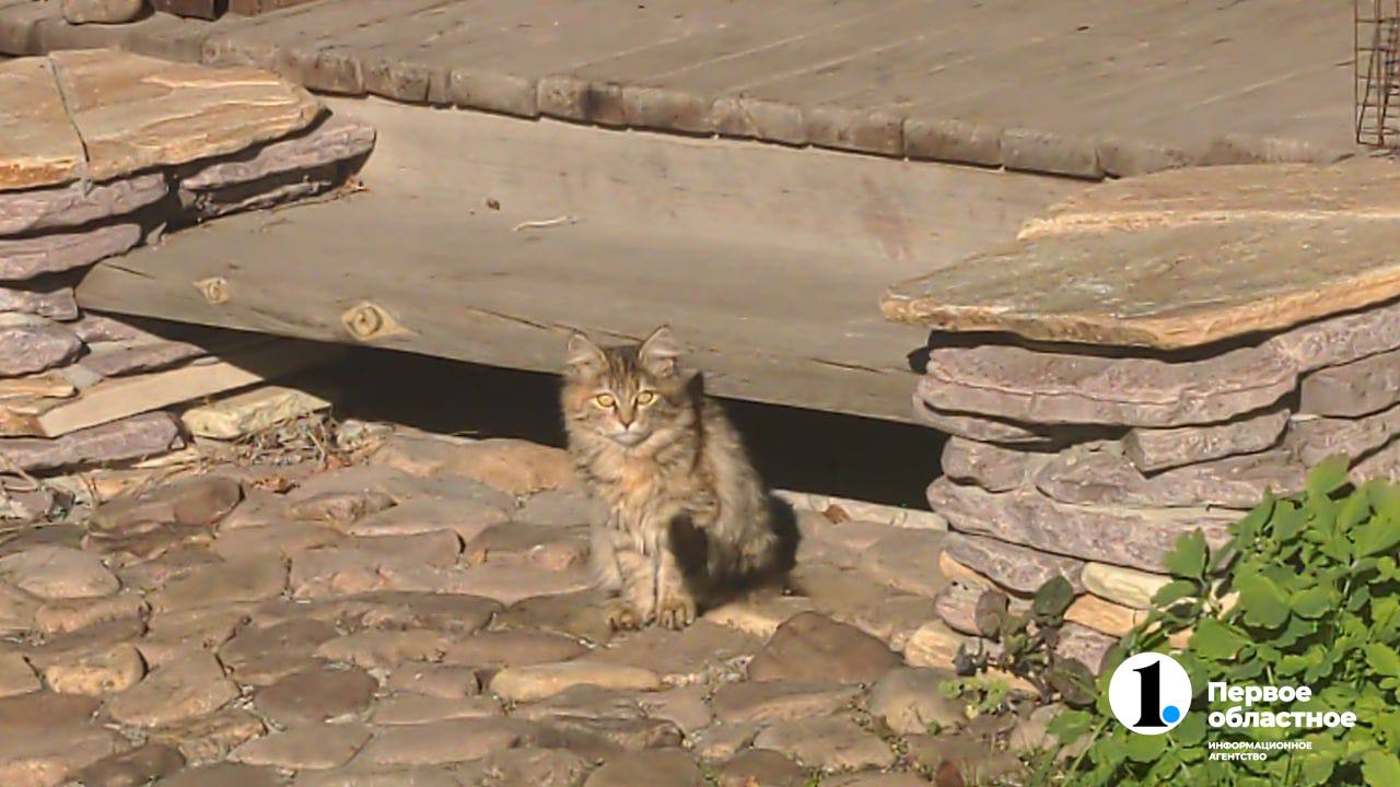 photo_2025-10-13_23-26-45 (1).jpg