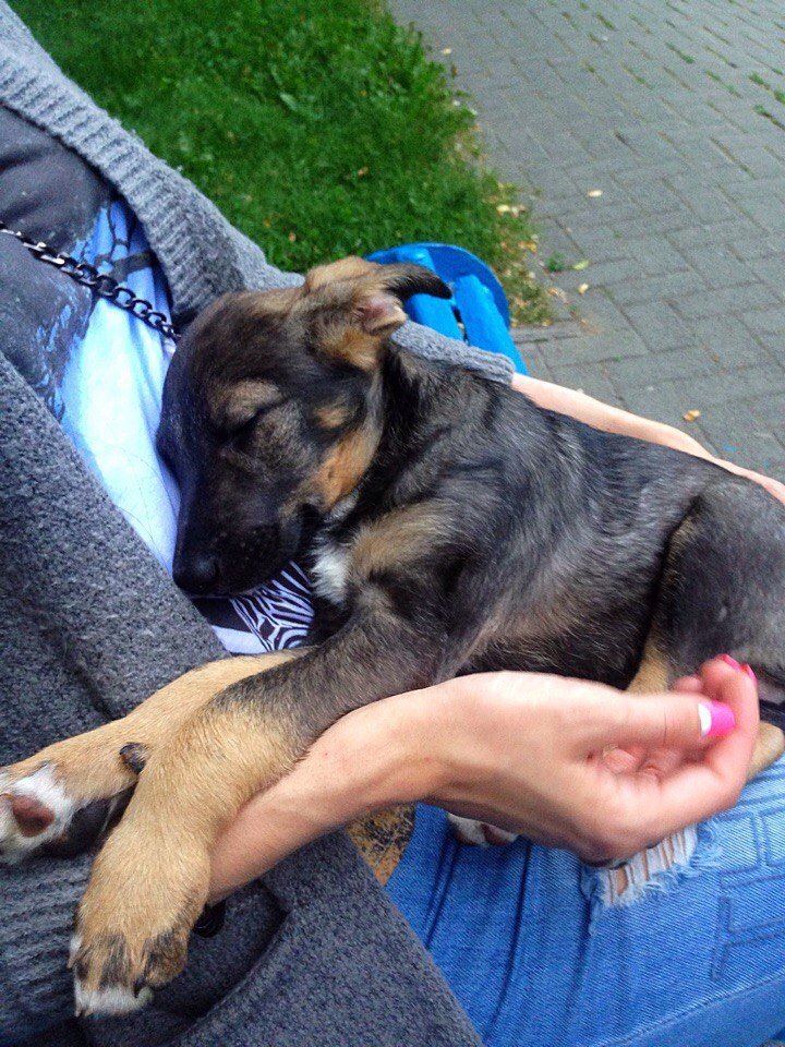 uIbmn5TF90w.jpg uIbmn5TF90w.jpg