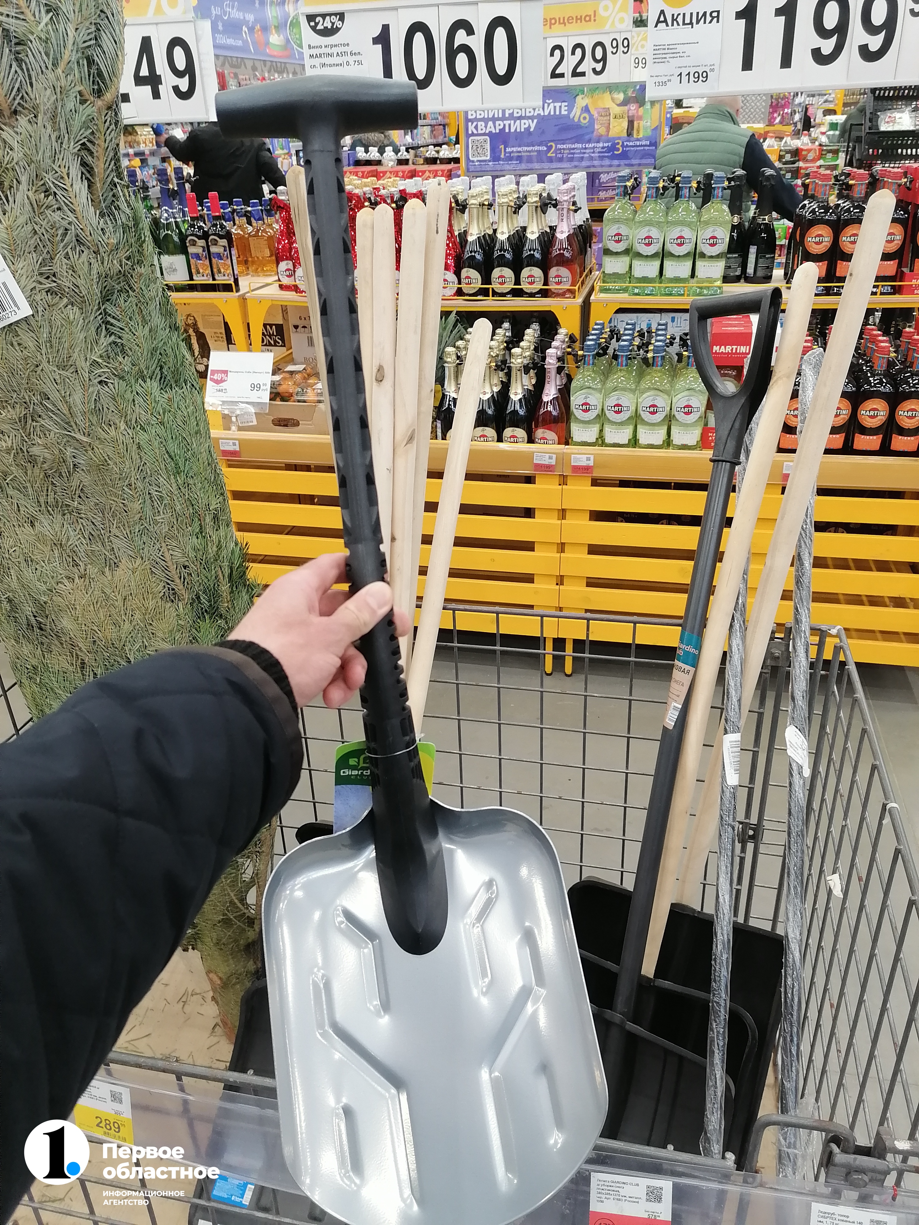 IMG_20231227_151109.jpg IMG_20231227_151109.jpg