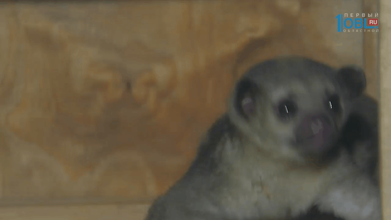 image(1).gif image(1).gif