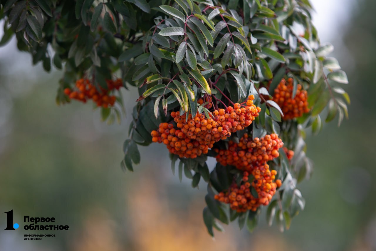 photo_2023-09-05_13-27-44 (1).jpg