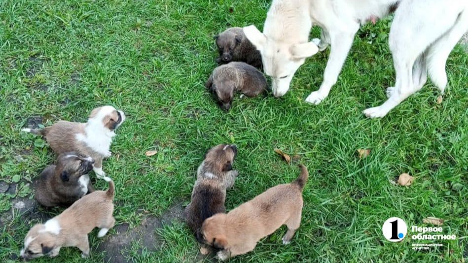 photo_2025-10-13_23-26-44 (1).jpg