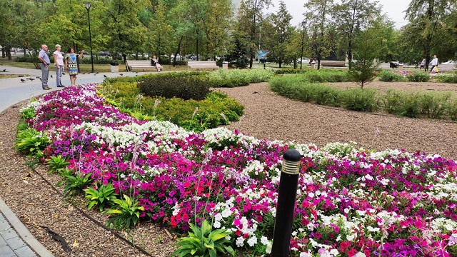 Клумбы Курчатовского р-на.jpg Клумбы Курчатовского р-на.jpg