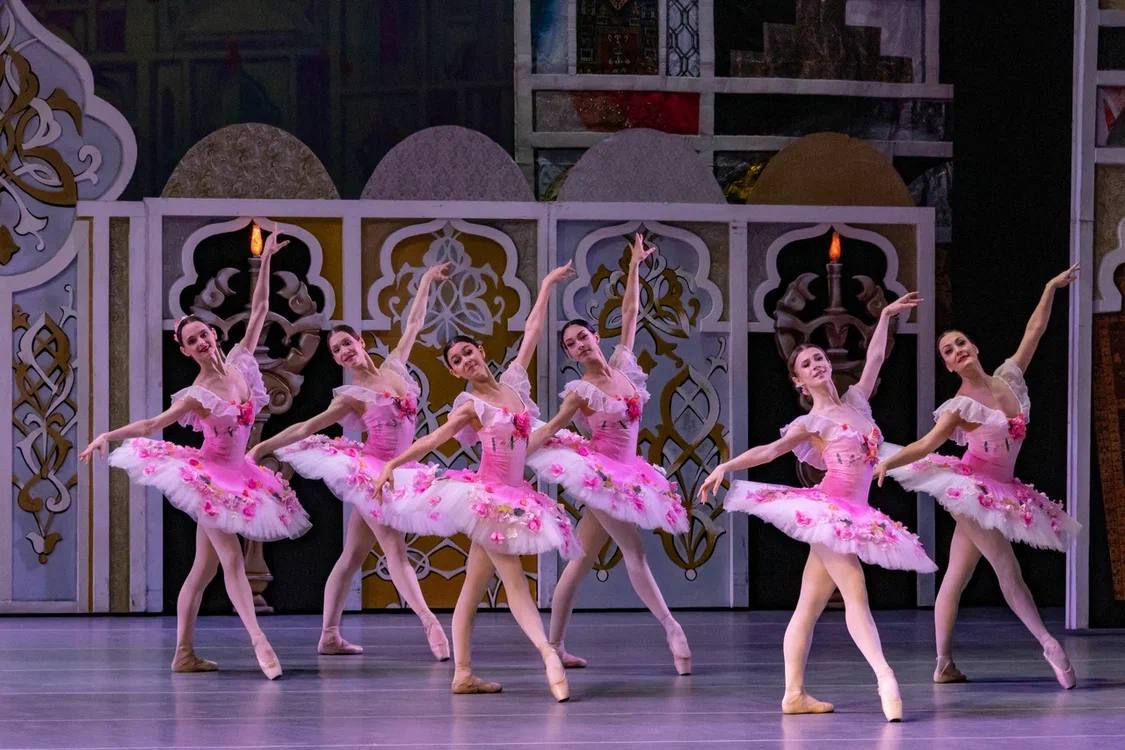 photo_2026-03-06_09-51-19 (2).jpg