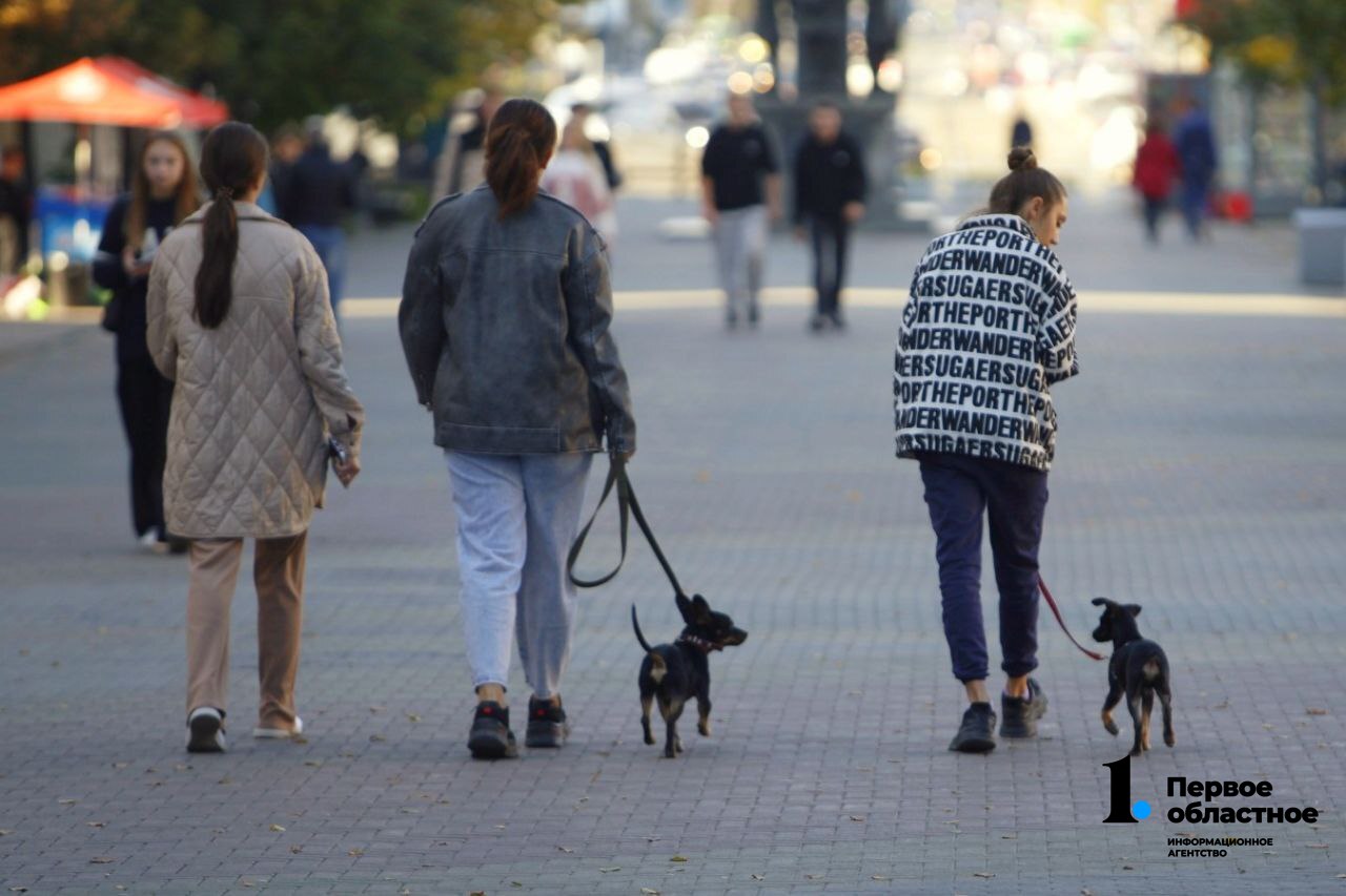 photo_2023-09-06_18-00-28 (4) (1).jpg