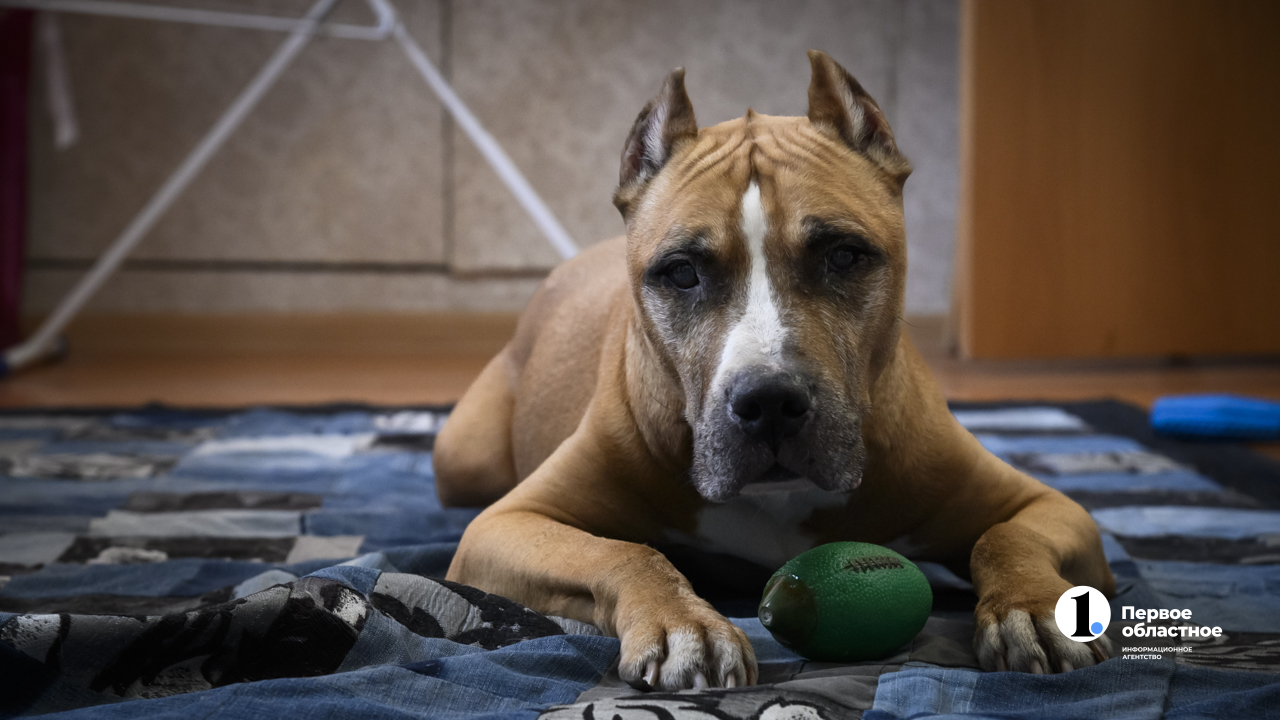 Фото Алексея Журавлева (7).jpg