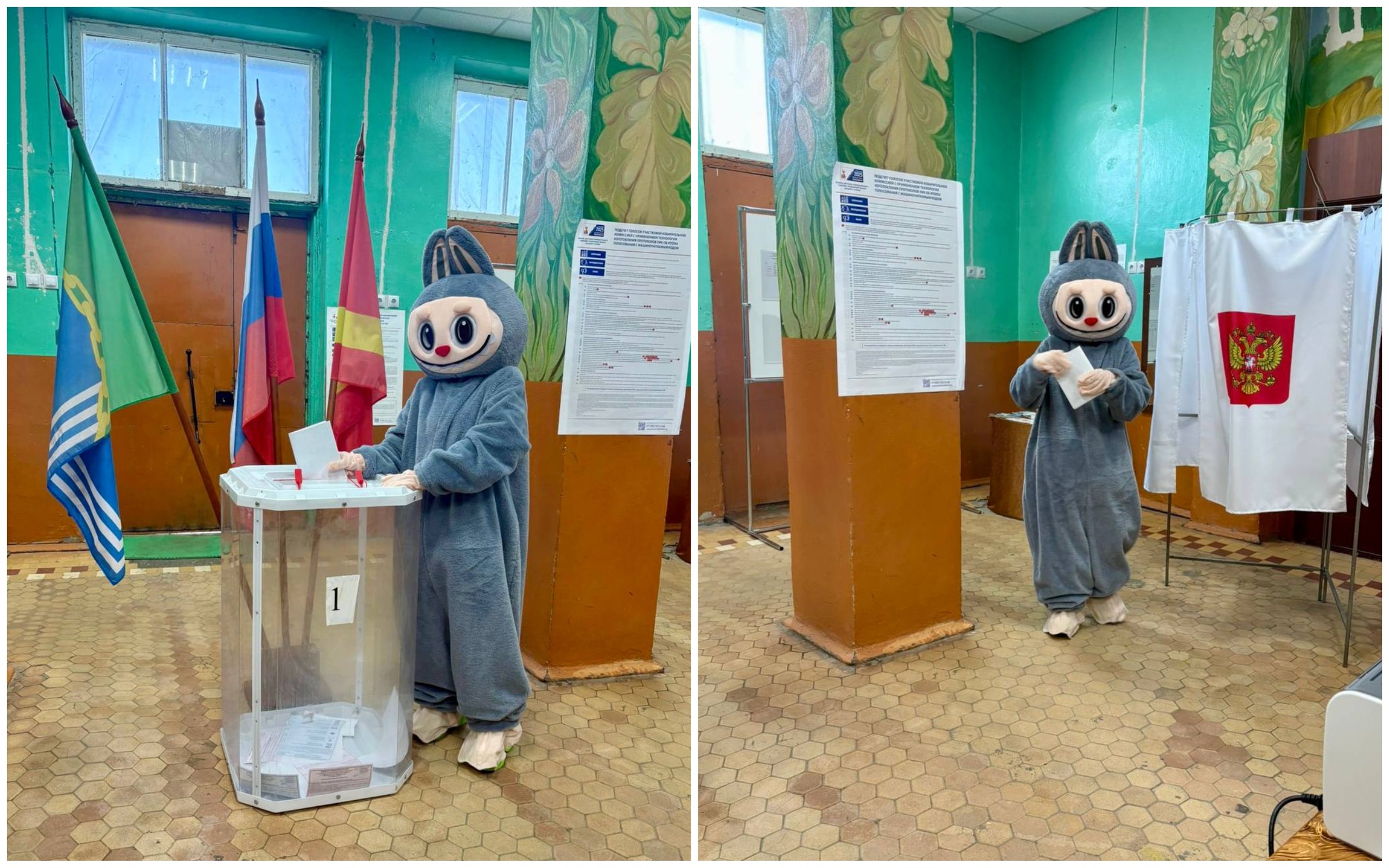 MyCollages.jpg MyCollages.jpg