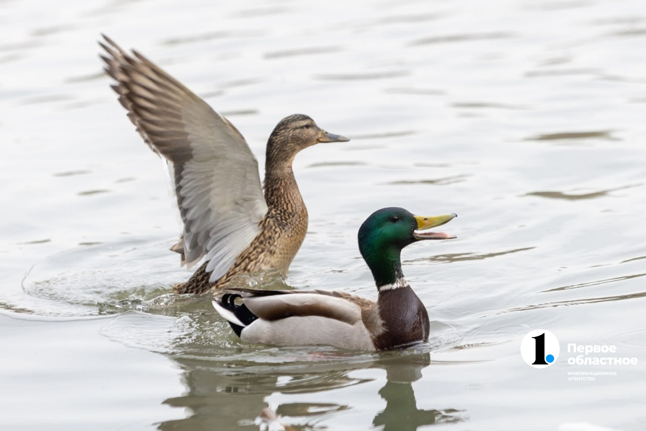 photo_2024-03-26_17-56-57 (1).jpg