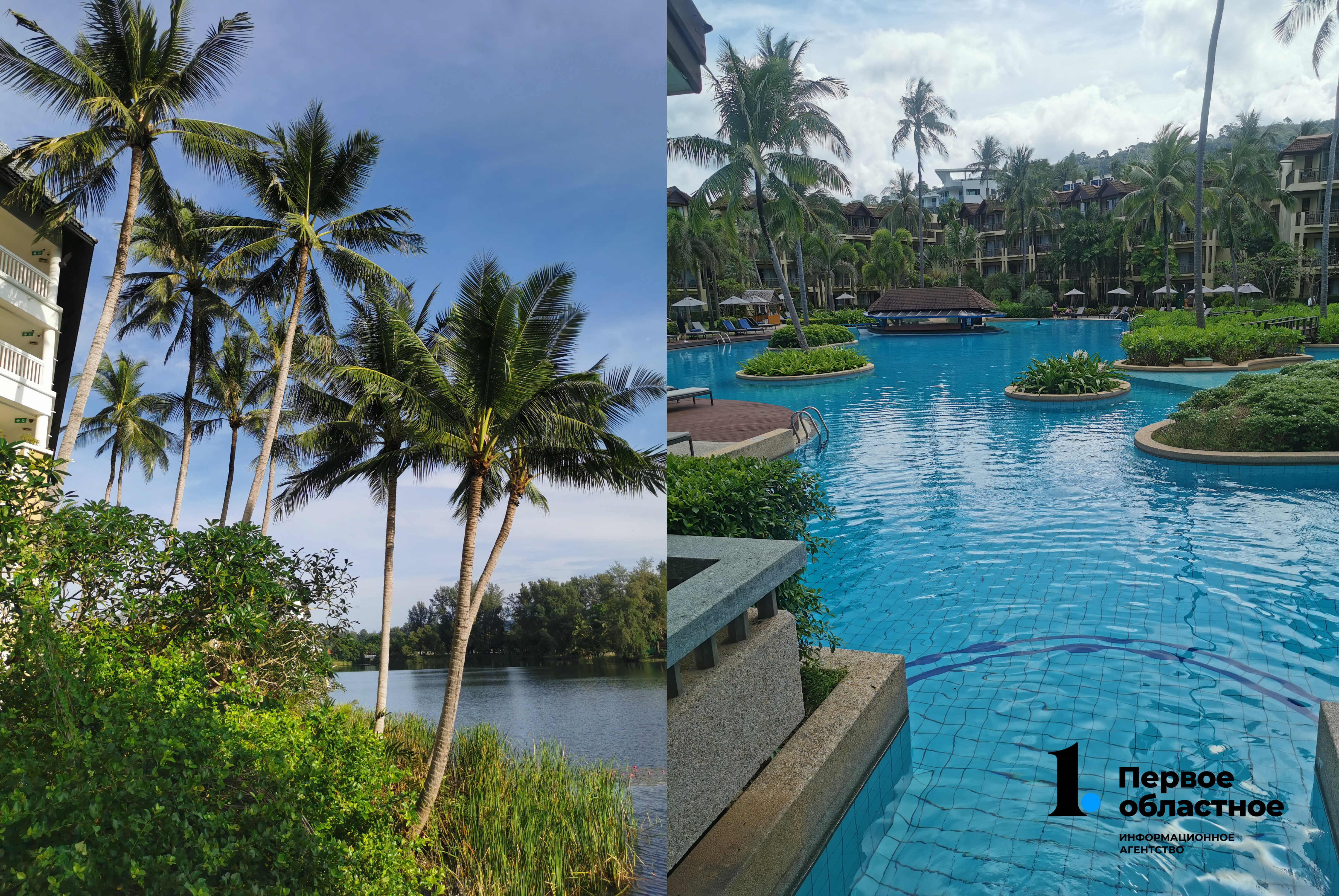 22222IMG_20211109_075617.jpg 22222IMG_20211109_075617.jpg