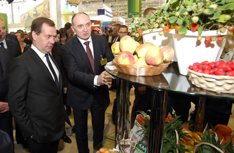 Золотая осень 2014