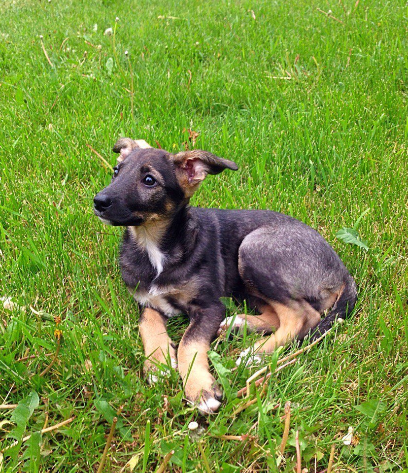 kM8V71qSwEw.jpg kM8V71qSwEw.jpg