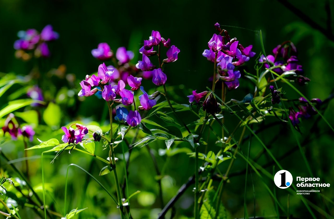 photo_2024-05-22_12-23-39 (2).jpg
