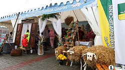 В Челябинске на «Агро» представили продуктовое изобилие региона