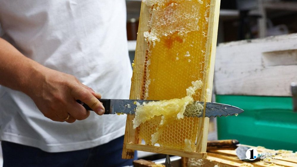 Челябинский пчеловод назвал главную помеху хорошему медосбору в 2025 году