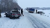 Полиция ищет очевидцев ДТП с погибшими в Троицком районе