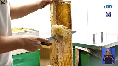 Медовый Спас на Южном Урале: будет ли сладким урожай