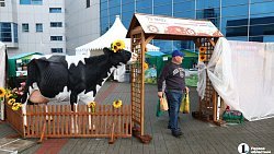 В Челябинске на «Агро» представили продуктовое изобилие региона