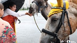 В Челябинске на «Агро» представили продуктовое изобилие региона