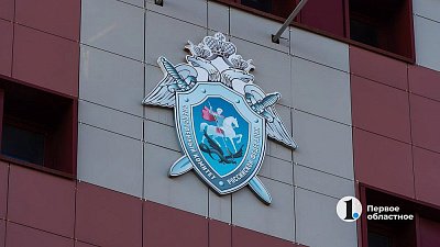 В Челябинске задержали хулиганов, избивших подростка в подземном переходе