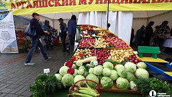 В Челябинске на «Агро» представили продуктовое изобилие региона