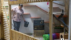 Челябинцы на время отпуска отправляют своих животных в специальные гостиницы